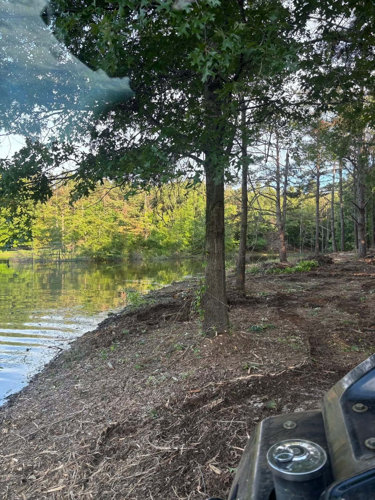 Pond bank cleanup — Property Cleanup in North Mississippi