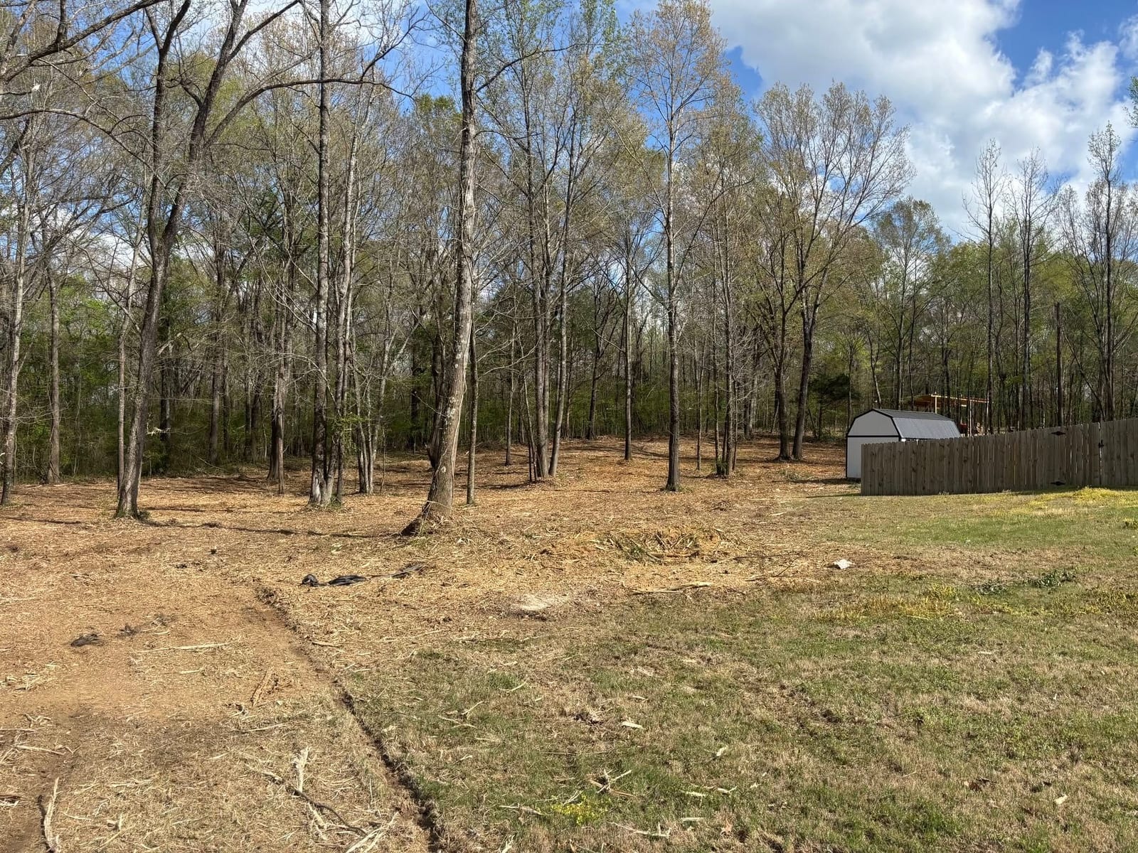 Property cleanup around a shed — Property Cleanup in North Mississippi